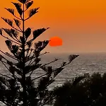 Andreas Lejlighed Mastichari (Kos)