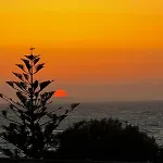Andreas Lejlighed Mastichari (Kos)
