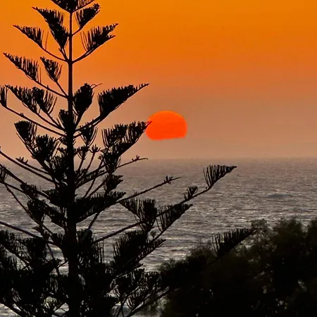 Andreas Apartmán Mastichari (Kos)