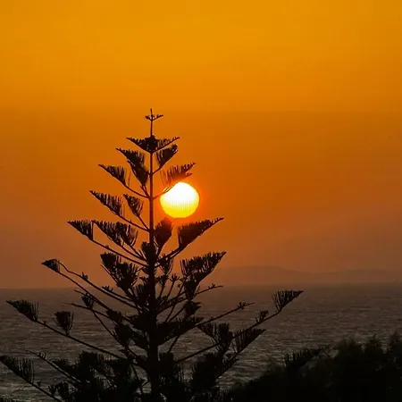 Andreas Mastichari (Kos)